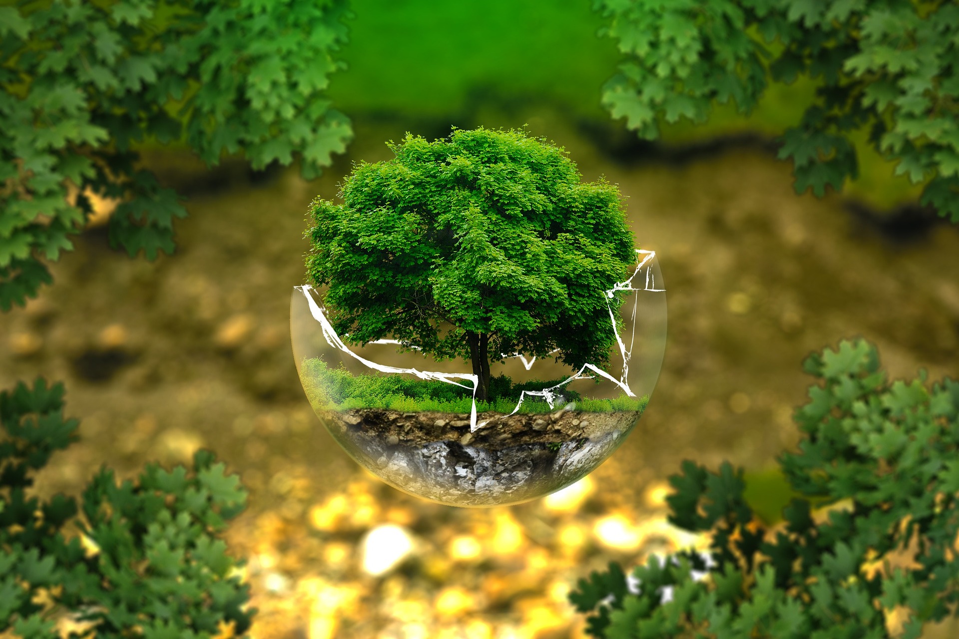 Health, healing, and reducing the anxieties that keeps us from being opportunities. 